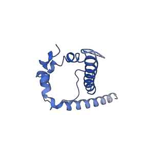 22104_6x98_B_v1-0
Cryo-EM model of HIV-1 Env BG505 SOSIP.664 in complex with rabbit monoclonal antibody 11B fragment antigen binding variable domain