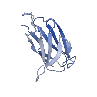 22104_6x98_E_v1-0
Cryo-EM model of HIV-1 Env BG505 SOSIP.664 in complex with rabbit monoclonal antibody 11B fragment antigen binding variable domain