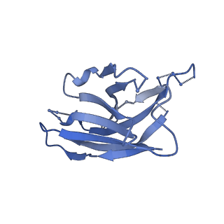 22104_6x98_F_v1-0
Cryo-EM model of HIV-1 Env BG505 SOSIP.664 in complex with rabbit monoclonal antibody 11B fragment antigen binding variable domain