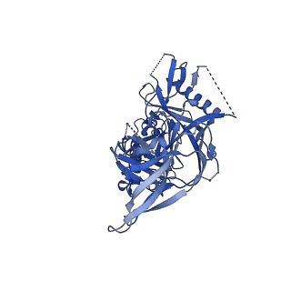 22104_6x98_G_v1-0
Cryo-EM model of HIV-1 Env BG505 SOSIP.664 in complex with rabbit monoclonal antibody 11B fragment antigen binding variable domain