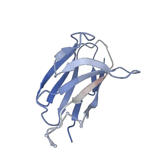 22104_6x98_J_v1-0
Cryo-EM model of HIV-1 Env BG505 SOSIP.664 in complex with rabbit monoclonal antibody 11B fragment antigen binding variable domain