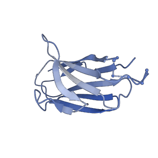 22104_6x98_L_v1-0
Cryo-EM model of HIV-1 Env BG505 SOSIP.664 in complex with rabbit monoclonal antibody 11B fragment antigen binding variable domain