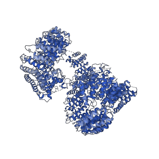 22106_6x9o_A_v1-1
High resolution cryoEM structure of huntingtin in complex with HAP40
