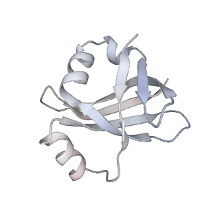 22107_6x9q_4_v1-2
Cryo-EM structure of an Escherichia coli coupled transcription-translation complex B3 (TTC-B3) containing an mRNA with a 27 nt long spacer, transcription factors NusA and NusG, and fMet-tRNAs at P-site and E-site