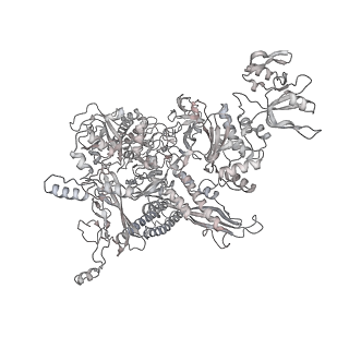 22107_6x9q_AA_v1-2
Cryo-EM structure of an Escherichia coli coupled transcription-translation complex B3 (TTC-B3) containing an mRNA with a 27 nt long spacer, transcription factors NusA and NusG, and fMet-tRNAs at P-site and E-site