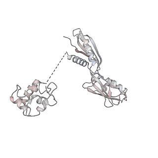 22107_6x9q_AC_v1-2
Cryo-EM structure of an Escherichia coli coupled transcription-translation complex B3 (TTC-B3) containing an mRNA with a 27 nt long spacer, transcription factors NusA and NusG, and fMet-tRNAs at P-site and E-site