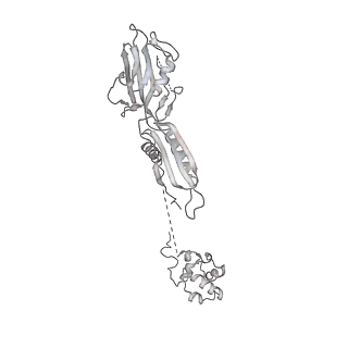 22107_6x9q_AD_v1-2
Cryo-EM structure of an Escherichia coli coupled transcription-translation complex B3 (TTC-B3) containing an mRNA with a 27 nt long spacer, transcription factors NusA and NusG, and fMet-tRNAs at P-site and E-site