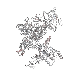 22107_6x9q_AE_v1-2
Cryo-EM structure of an Escherichia coli coupled transcription-translation complex B3 (TTC-B3) containing an mRNA with a 27 nt long spacer, transcription factors NusA and NusG, and fMet-tRNAs at P-site and E-site