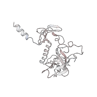 22107_6x9q_H_v1-2
Cryo-EM structure of an Escherichia coli coupled transcription-translation complex B3 (TTC-B3) containing an mRNA with a 27 nt long spacer, transcription factors NusA and NusG, and fMet-tRNAs at P-site and E-site