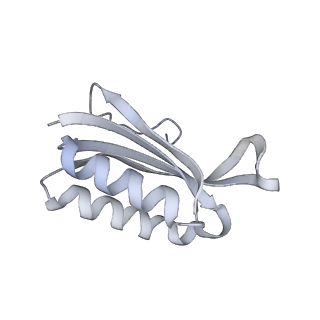 22107_6x9q_L_v1-2
Cryo-EM structure of an Escherichia coli coupled transcription-translation complex B3 (TTC-B3) containing an mRNA with a 27 nt long spacer, transcription factors NusA and NusG, and fMet-tRNAs at P-site and E-site