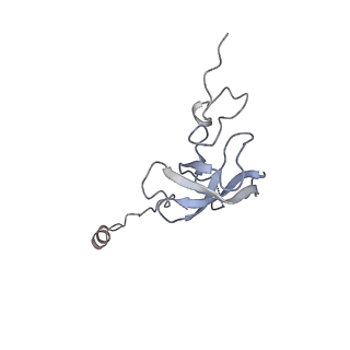22107_6x9q_R_v1-2
Cryo-EM structure of an Escherichia coli coupled transcription-translation complex B3 (TTC-B3) containing an mRNA with a 27 nt long spacer, transcription factors NusA and NusG, and fMet-tRNAs at P-site and E-site