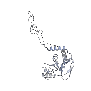 22107_6x9q_l_v1-2
Cryo-EM structure of an Escherichia coli coupled transcription-translation complex B3 (TTC-B3) containing an mRNA with a 27 nt long spacer, transcription factors NusA and NusG, and fMet-tRNAs at P-site and E-site