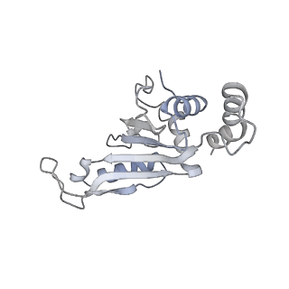 22107_6x9q_n_v1-2
Cryo-EM structure of an Escherichia coli coupled transcription-translation complex B3 (TTC-B3) containing an mRNA with a 27 nt long spacer, transcription factors NusA and NusG, and fMet-tRNAs at P-site and E-site