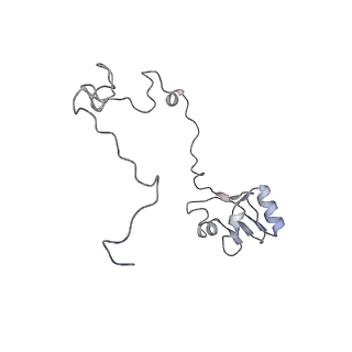 22107_6x9q_u_v1-2
Cryo-EM structure of an Escherichia coli coupled transcription-translation complex B3 (TTC-B3) containing an mRNA with a 27 nt long spacer, transcription factors NusA and NusG, and fMet-tRNAs at P-site and E-site