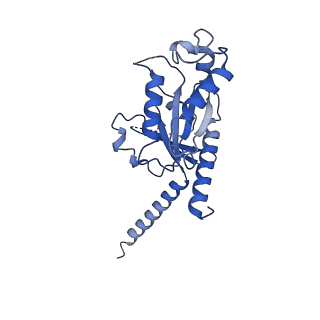 33069_7x9a_A_v1-0
Cryo-EM structure of neuropeptide Y Y1 receptor in complex with NPY and Gi