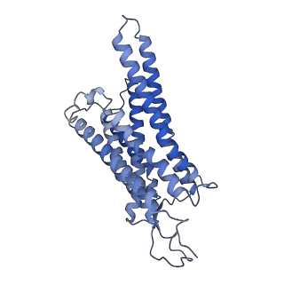 33069_7x9a_R_v1-0
Cryo-EM structure of neuropeptide Y Y1 receptor in complex with NPY and Gi