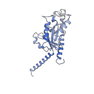 33070_7x9b_A_v1-0
Cryo-EM structure of neuropeptide Y Y2 receptor in complex with NPY and Gi