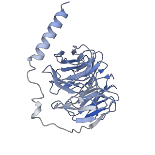 33070_7x9b_B_v1-0
Cryo-EM structure of neuropeptide Y Y2 receptor in complex with NPY and Gi