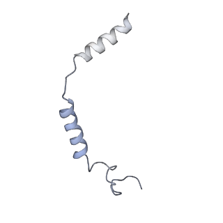 33070_7x9b_C_v1-0
Cryo-EM structure of neuropeptide Y Y2 receptor in complex with NPY and Gi