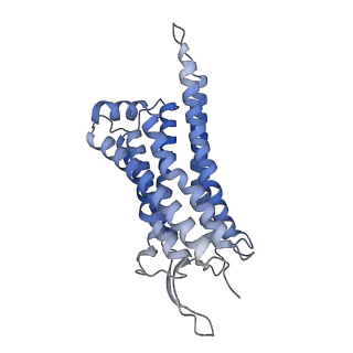 33070_7x9b_R_v1-0
Cryo-EM structure of neuropeptide Y Y2 receptor in complex with NPY and Gi