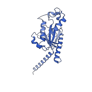 33071_7x9c_A_v1-0
Cryo-EM structure of neuropeptide Y Y4 receptor in complex with PP and Gi