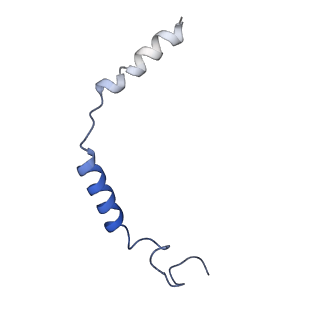 33071_7x9c_C_v1-0
Cryo-EM structure of neuropeptide Y Y4 receptor in complex with PP and Gi