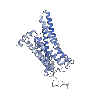 33071_7x9c_R_v1-0
Cryo-EM structure of neuropeptide Y Y4 receptor in complex with PP and Gi