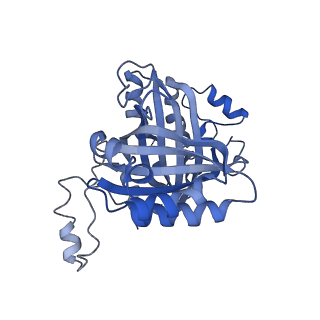 33084_7x9w_F_v1-1
Sulfur Oxygenase Reductase from Acidianus ambivalens