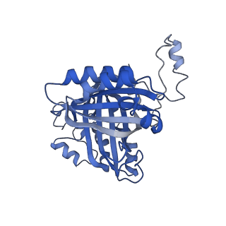 33084_7x9w_P_v1-1
Sulfur Oxygenase Reductase from Acidianus ambivalens