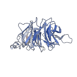 33085_7x9y_B_v1-0
Cryo-EM structure of the apo CCR3-Gi complex