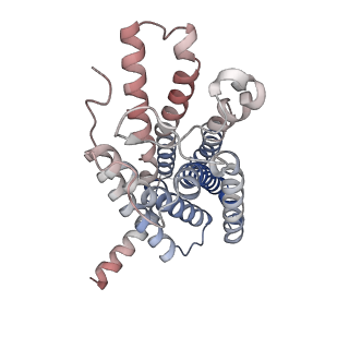33085_7x9y_R_v1-0
Cryo-EM structure of the apo CCR3-Gi complex
