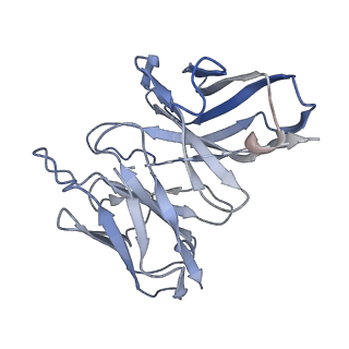 33085_7x9y_S_v1-0
Cryo-EM structure of the apo CCR3-Gi complex