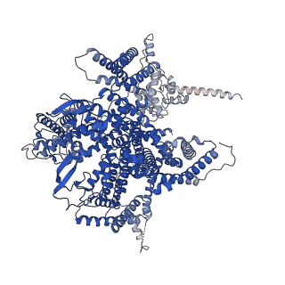 38158_8x90_A_v1-0
P/Q type calcium channel