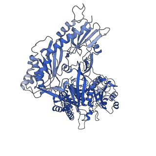 38158_8x90_B_v1-0
P/Q type calcium channel