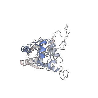 38158_8x90_C_v1-0
P/Q type calcium channel