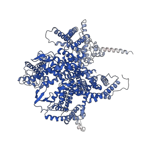 38159_8x91_A_v1-0
P/Q type calcium channel in complex with omega-conotoxin MVIIC