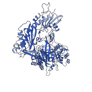 38159_8x91_B_v1-0
P/Q type calcium channel in complex with omega-conotoxin MVIIC