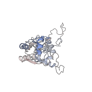 38159_8x91_C_v1-0
P/Q type calcium channel in complex with omega-conotoxin MVIIC