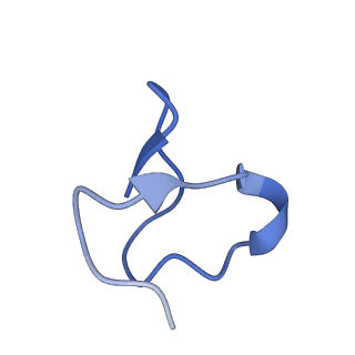 38159_8x91_X_v1-0
P/Q type calcium channel in complex with omega-conotoxin MVIIC