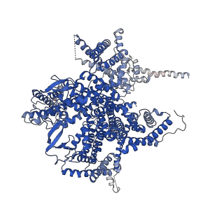 38160_8x93_A_v1-0
P/Q type calcium channel in complex with omega-Agatoxin IVA