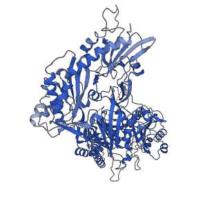 38160_8x93_B_v1-0
P/Q type calcium channel in complex with omega-Agatoxin IVA