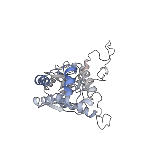 38160_8x93_C_v1-0
P/Q type calcium channel in complex with omega-Agatoxin IVA