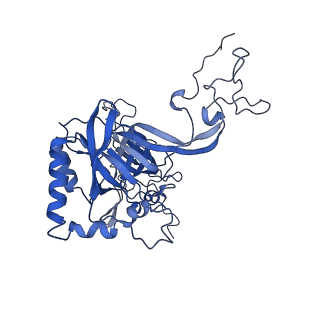 22085_6xa1_LB_v1-1
Structure of a drug-like compound stalled human translation termination complex