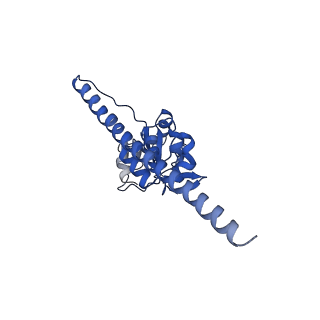 22085_6xa1_LF_v1-1
Structure of a drug-like compound stalled human translation termination complex