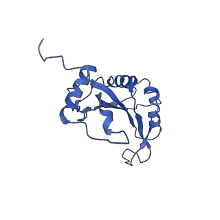 22085_6xa1_LJ_v1-1
Structure of a drug-like compound stalled human translation termination complex