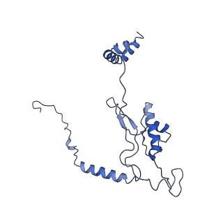 22085_6xa1_LL_v1-1
Structure of a drug-like compound stalled human translation termination complex