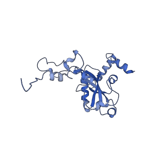 22085_6xa1_LN_v1-1
Structure of a drug-like compound stalled human translation termination complex