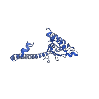 22085_6xa1_LO_v1-1
Structure of a drug-like compound stalled human translation termination complex