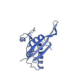 22085_6xa1_LP_v1-1
Structure of a drug-like compound stalled human translation termination complex