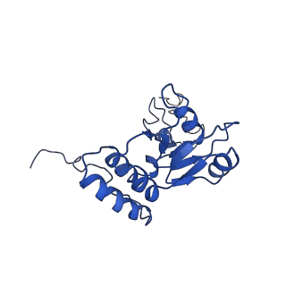 22085_6xa1_LQ_v1-1
Structure of a drug-like compound stalled human translation termination complex